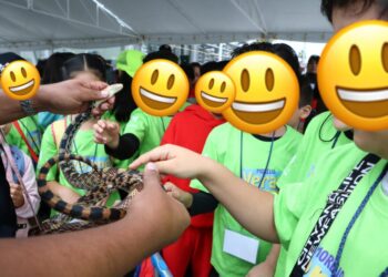 Verano creativo Colegio Morelia