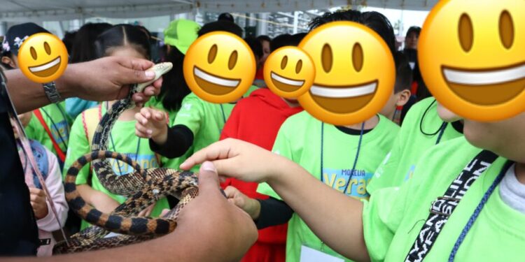Verano creativo Colegio Morelia