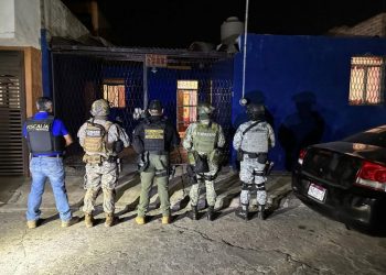 cateos aseguramientos droga - Morelia Informativo