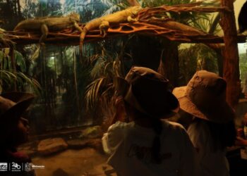 curso verano zoológico 2