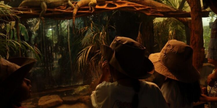 curso verano zoológico 2