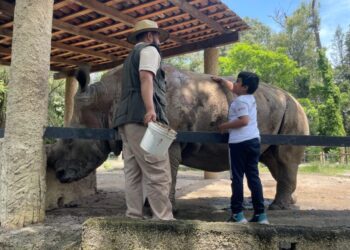 curso verano zoológico 5