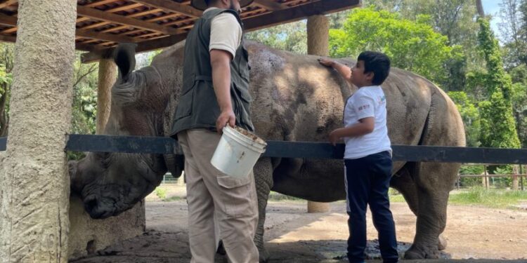 curso verano zoológico 5