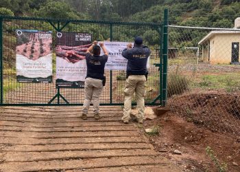 delitos contra medio ambiente 7 - Morelia Informativo