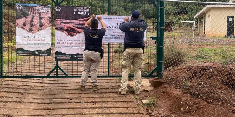 delitos contra medio ambiente 7 - Morelia Informativo