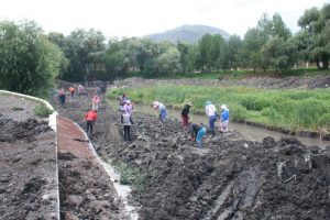 empleos temporales reforestación cuenca del Lago de Pátzcuaro 2- Morelia Informativo