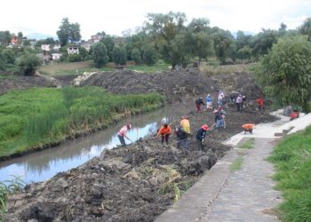 empleos temporales reforestación cuenca del Lago de Pátzcuaro - Morelia Informativo