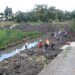 empleos temporales reforestación cuenca del Lago de Pátzcuaro - Morelia Informativo