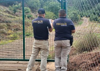 estrategia Guardián Forestal cultivos aguacate - Morelia Informativo