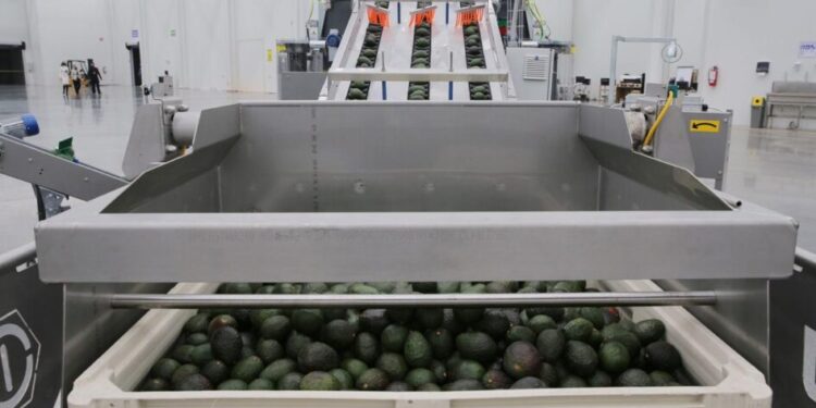 exportaciones agrícolas