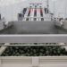 exportaciones agrícolas