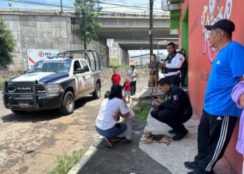 localizan menor desaparecido