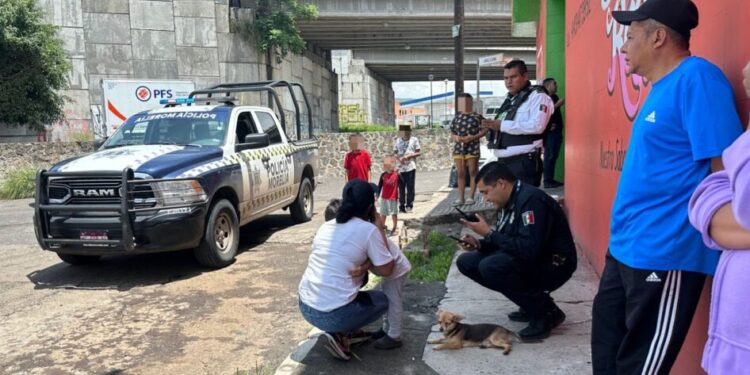 localizan menor desaparecido