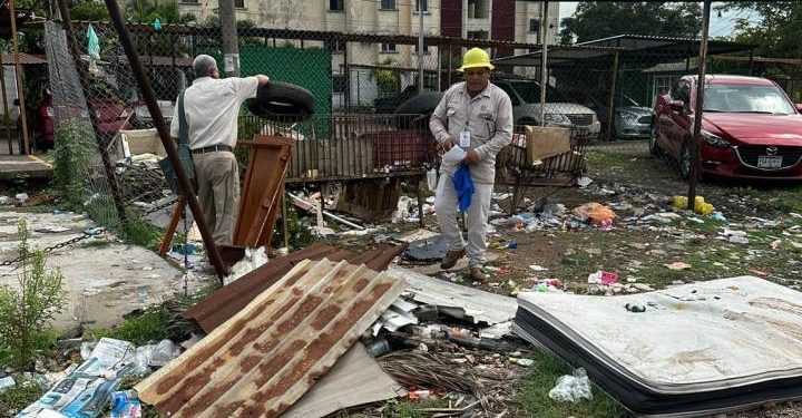 Prevención dengue recolectan toneladas de cacharros LC- Morelia Informativo