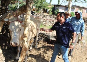 Gob municipal apoya a ganaderos