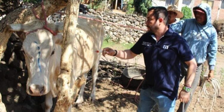 Gob municipal apoya a ganaderos