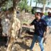 Gob municipal apoya a ganaderos