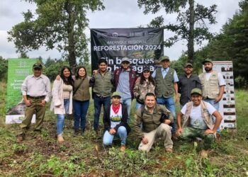 Inicia en Quiroga plantación de 18 mil árboles para la conservación del lago de Pátzcuaro-Morelia Informativo