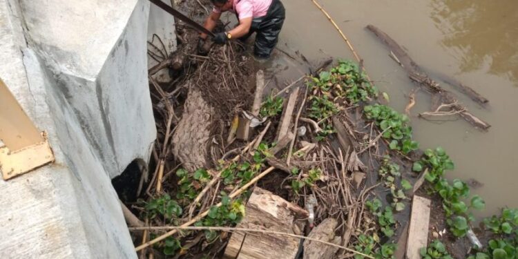 Jornada de limpieza preventiva en ríos y drenes-Morelia Informativo