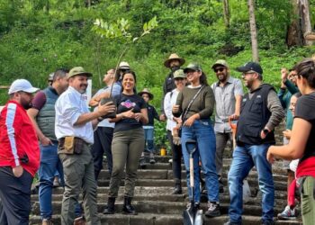 Gobierno estatal reforesta el Parque Francisco Zarco, en Morelia-Morelia Informativo