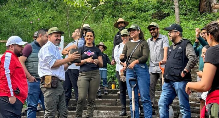 Gobierno estatal reforesta el Parque Francisco Zarco, en Morelia-Morelia Informativo
