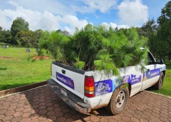 Morelia crece con nuevos bosques-Morelia Informativo