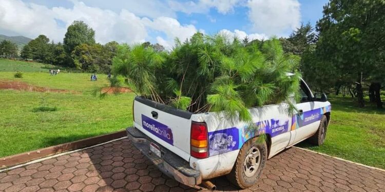 Morelia crece con nuevos bosques-Morelia Informativo