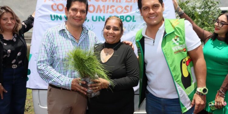 Con responsabilidad, el dirigente del Verde Michoacán cumplirá compromiso de plantar un árbol por cada voto recibido en las pasadas elecciones-Morelia Informativo