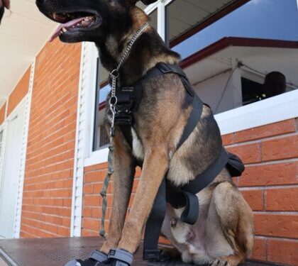 Embajada de EUA dona a SSP equipamiento médico y de adiestramiento canino