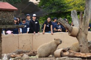 Culmina SSP curso de verano Juego y aprendo con mi policía-Morelia Informativo1