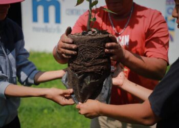 Gobierno de Morelia concluye cursos “Morelia Verano Creativo” con reforestación masiva-Morelia Informativo