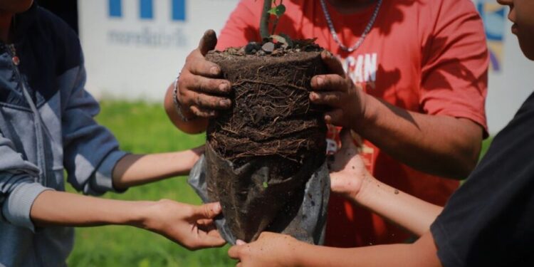 Gobierno de Morelia concluye cursos “Morelia Verano Creativo” con reforestación masiva-Morelia Informativo