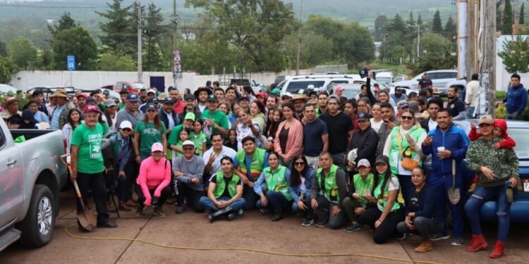 Aranca PVEM reforestación “un árbol por un voto”, comprometida el campaña-Morelia Informativo