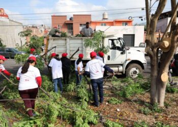 Gobierno de Morelia y ciudadanía avanzan en mejoramiento del Parque Bicentenario-Morelia Informativo