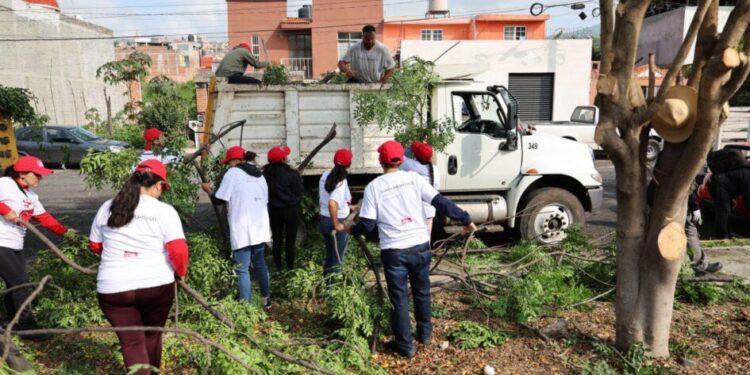 Gobierno de Morelia y ciudadanía avanzan en mejoramiento del Parque Bicentenario-Morelia Informativo