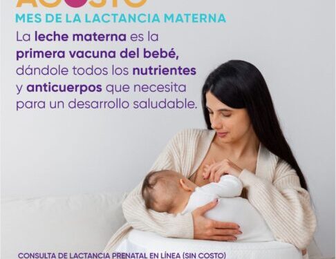 DIF Morelia promueve la lactancia materna con consultas prenatales gratuitas en línea-Morelia Informativo