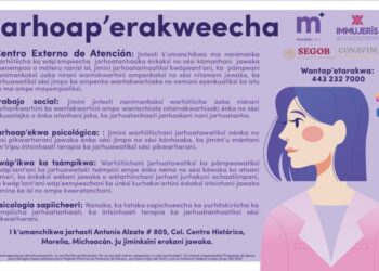 IMMUJERIS, ahora cuenta con intérprete de Lengua Purépecha-Morelia Informativo