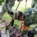 Ejército aplica Plan DN-III-E en Tiripetío para auxiliar a afectados por las lluvias-Morelia Informativo