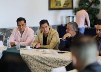 Partido Verde, a favor de combatir deforestación y huachicoleo del agua en Michoacán