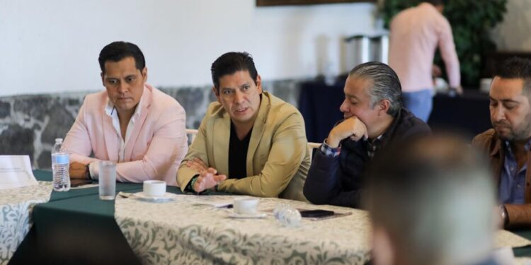 Partido Verde, a favor de combatir deforestación y huachicoleo del agua en Michoacán