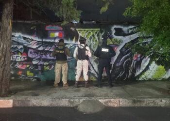 Partido Verde, a favor de combatir deforestación y huachicoleo del agua en Michoacán