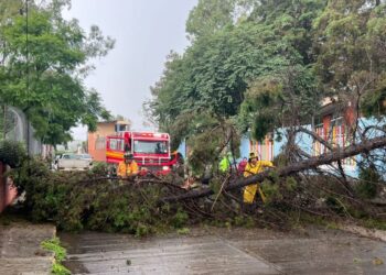 Cumple Ayuntamiento de Morelia 17 horas de atención ininterrumpida por lluvias-Morelia Informativo