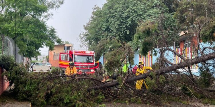 Cumple Ayuntamiento de Morelia 17 horas de atención ininterrumpida por lluvias-Morelia Informativo