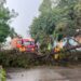Cumple Ayuntamiento de Morelia 17 horas de atención ininterrumpida por lluvias-Morelia Informativo