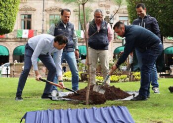 Alfonso Martínez planta el árbol "un millón" en Morelia-Morelia Informativo