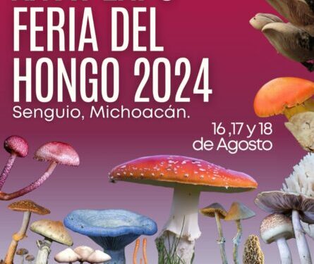 XVII expo feria del hongo 2024