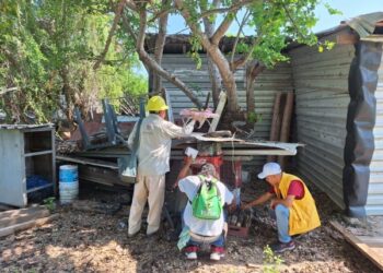 dengue Lázaro Cárdenas