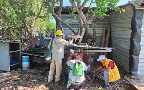 dengue Lázaro Cárdenas