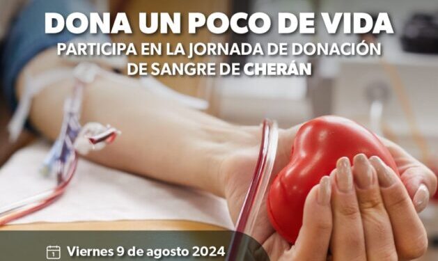 dona un poco de amor Cherán