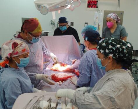 donadora de órganos Zamora